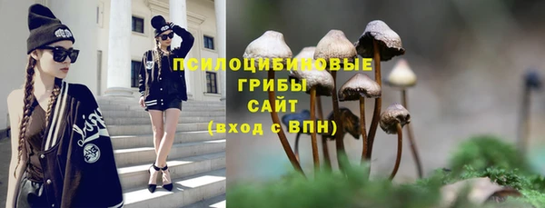 мдпв Богородицк