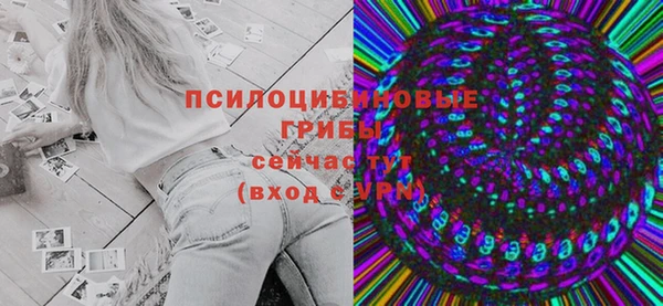 мдпв Богородицк