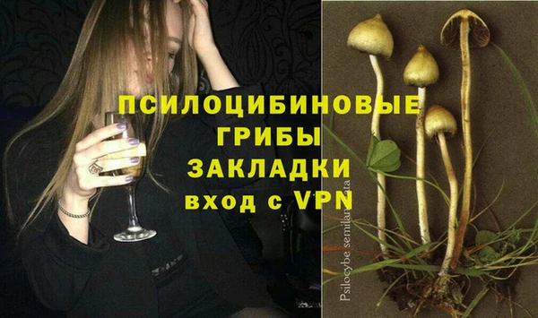 герыч Богородск