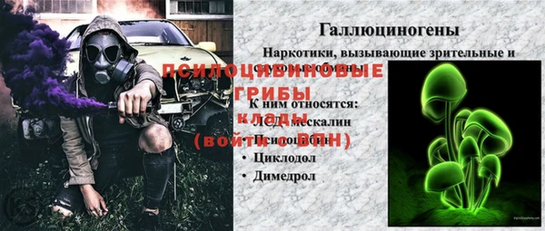 мдпв Богородицк