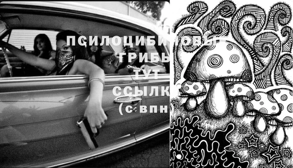 герыч Богородск