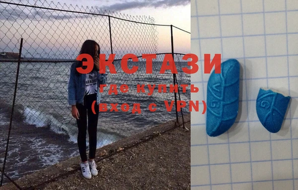 мдпв Богородицк