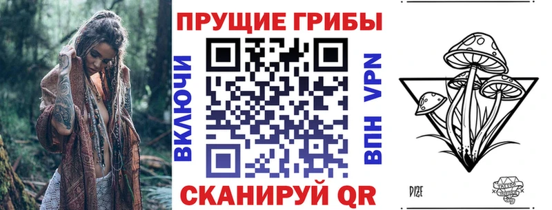 Галлюциногенные грибы Psilocybe Артём