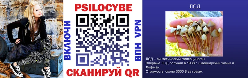 Купить где  Артём  Галлюциногенные грибы мицелий 